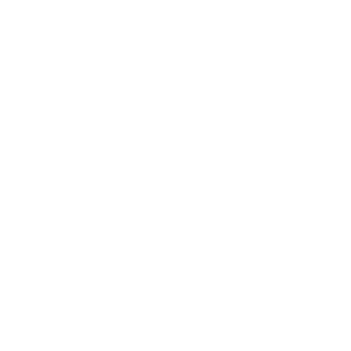 experience icon
